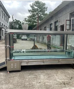 Dog Training Equipment Water Treadmill Dogs Hydrotherapy Pet Training Rehabilitation Underwater Treadmill